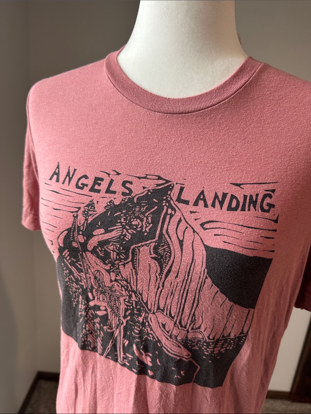 Bella Canvas Zion Angel’s Landing TShirt Small